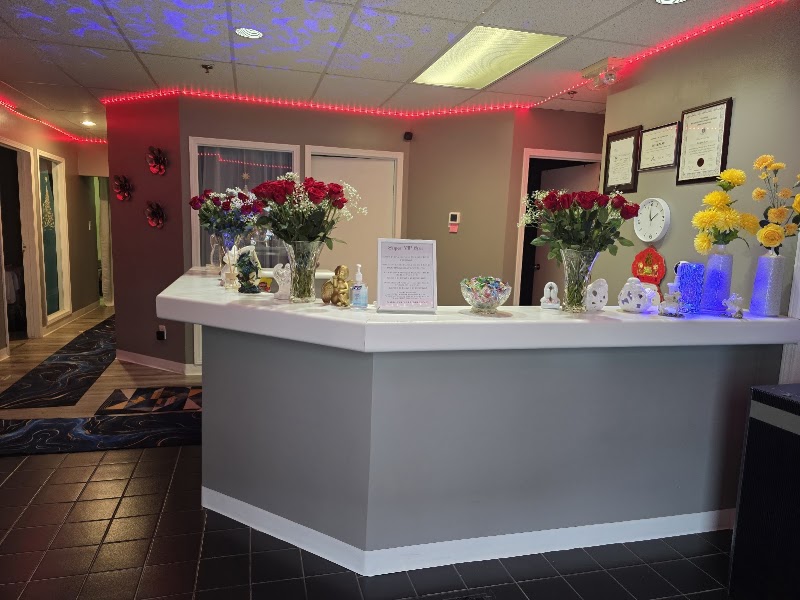 Super VIP Spa reception
